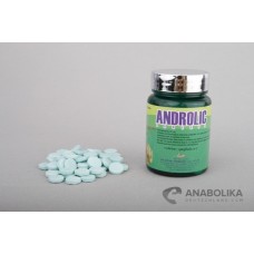 Androlic tabletten (100 tab)